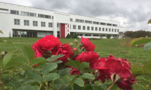Ürituse Muinsuskaitsepäev Saare KEKis – Ajareis nõukogude argipäeva pilt
